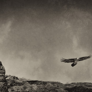 “Oltre lo scatto”: il Parco Nazionale Gran Paradiso e il Forte di Bard presentano la nuova edizione autunnale del workshop fotografico dedicato all’etica in fotografia naturalistica