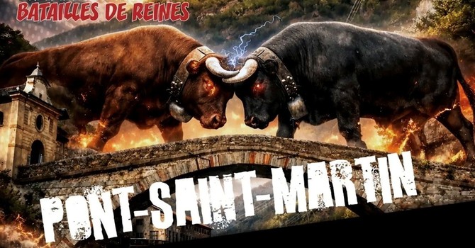 Batailles de Reines, a Pont-Saint-Martin si riaccende il cuore della Valle: 145 bovine verso il sogno della Croix-Noire