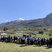 L'atena di Saint-Marcel