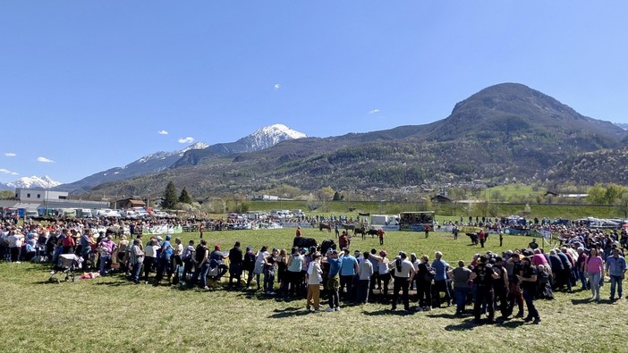L'atena di Saint-Marcel