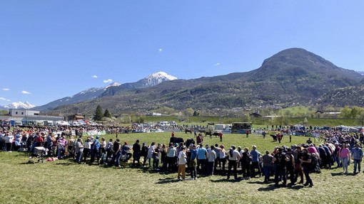 L'atena di Saint-Marcel
