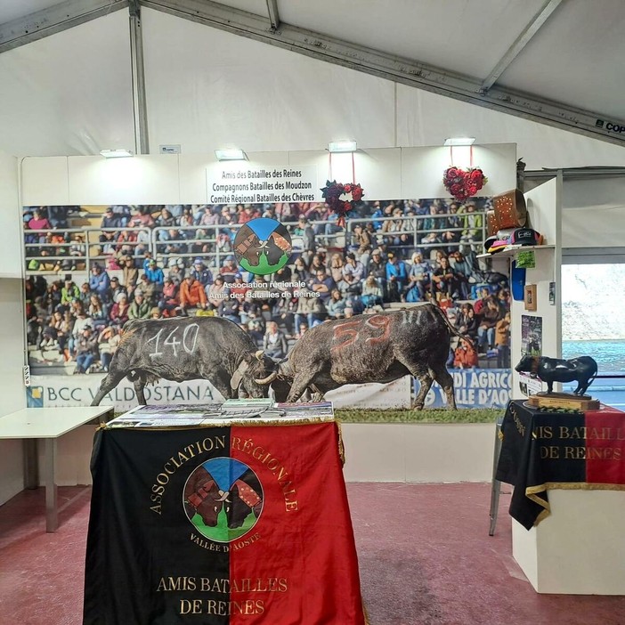 Foire de Saint-Ours: le "Reines" scendono in Piazza Plouves con il nuovo calendario 2026 Foire de Saint-Ours: le "Reines" scendono in Piazza Plouves con il nuovo calendario 2026