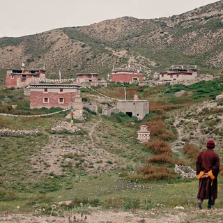 The lama's son - Fluida Comunicazione