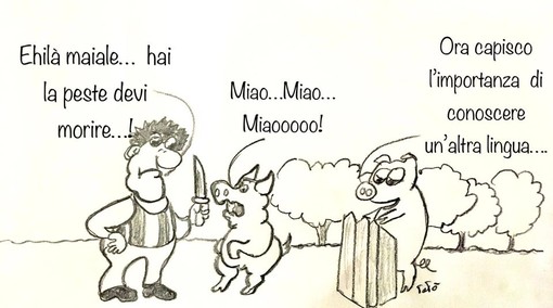 Nuovo Allarme per la Peste suina: divieto di trekking, mountain bike, pesca e altre attività in 114 Comuni