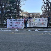 Reati contro gli animali e oblazione: serve un aggiornamento normativo adeguato alla sensibilità attuale