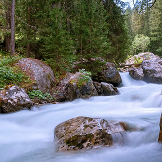 La Petite Patrie ha un nuovo Piano Acqua