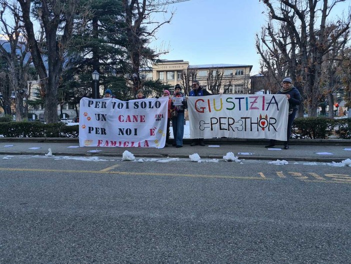 Reati contro gli animali e oblazione: serve un aggiornamento normativo adeguato alla sensibilità attuale