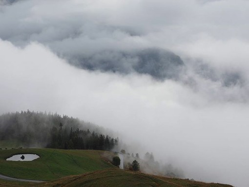 ZOOTECNIA: 'Gestione degli alpeggi nell'arco alpino', convegno a Valgrisenche