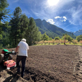 ph. Azienda Agricola Le Moulin Des Aravis nella valle di Champorcher