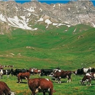 Quart, affidato l'incarico di progettazione per la manutenzione straordinaria degli alpeggi comunali per 500.000 euro