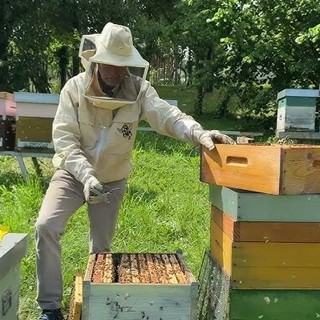 Nomine di competenza regionale: aperta la candidatura per il Consiglio direttivo del Consorzio apistico