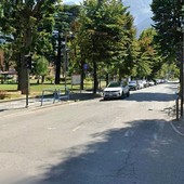 Alberi in viale Conseil des Commis (foto comune Aosta)