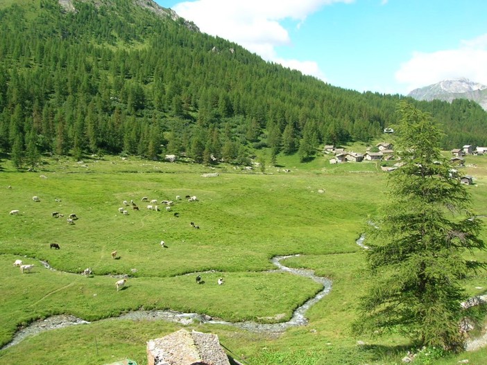 Alla Valle d’Aosta 141 mila euro per agricoltura di montagna