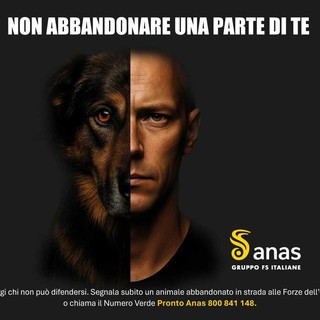 Non abbandonare una parte di te: quando l’indifferenza diventa violenza