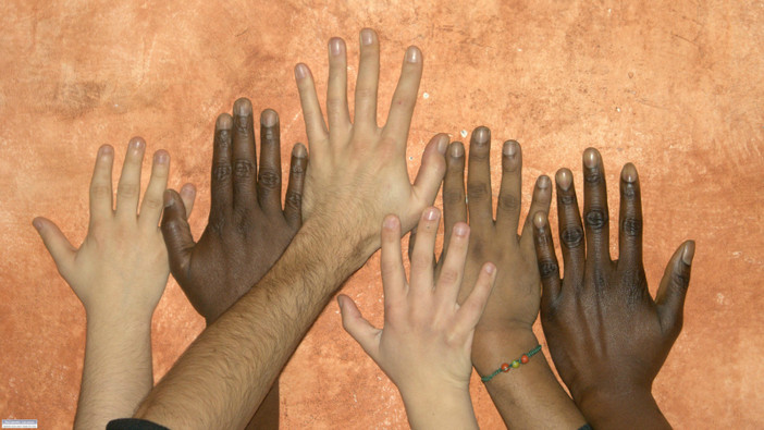 Decreto sicurezza, Cittadinanzattiva: “Così si indebolisce la democrazia e il diritto di difesa”