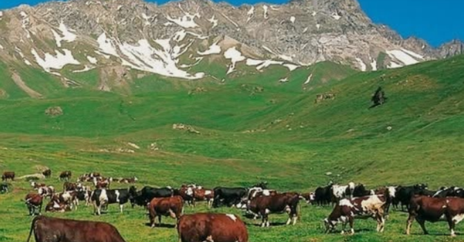 Buon Ferragosto, la festa che attraversa i secoli e ci ricorda il valore dello stare insieme Buon Ferragosto, la festa che attraversa i secoli e ci ricorda il valore dello stare insieme