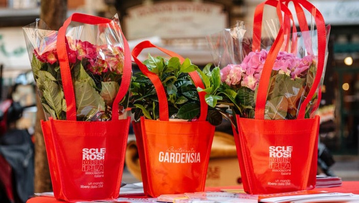 Bentornata Gardensia, un fiore per la ricerca e per la speranza