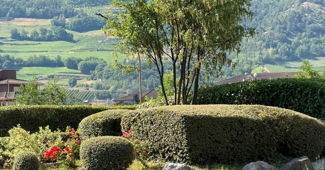 Manutenzione del verde pubblico: in Consiglio comunale la mozione sulla gestione del servizio e sul monitoraggio degli appalti Manutenzione del verde pubblico: in Consiglio comunale la mozione sulla gestione del servizio e sul monitoraggio degli appalti