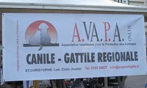 Châtillon: Spari dal Tiro a Volo ed effetti sugli animali domestici Châtillon: Spari dal Tiro a Volo ed effetti sugli animali domestici