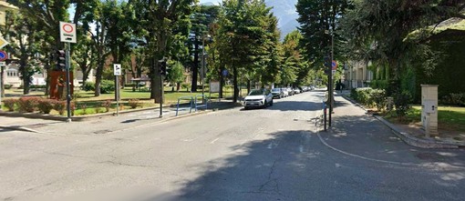 Alberi in viale Conseil des Commis (foto comune Aosta) Alberi in viale Conseil des Commis (foto comune Aosta)