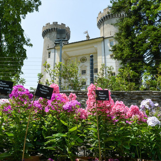 I fiori più belli al “Marché aux Fleurs” di Aymavilles I fiori più belli al “Marché aux Fleurs” di Aymavilles