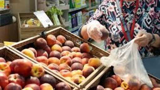 Spesa delle famiglie: 1 famiglia su 3 taglia sugli alimentari Spesa delle famiglie: 1 famiglia su 3 taglia sugli alimentari