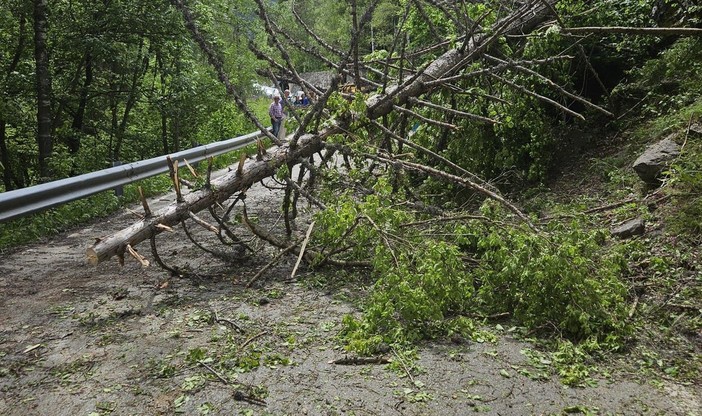 Intervento dei Vigili del Fuoco sulla SR25: strada riaperta dopo la caduta di alberi a Valgrisenche