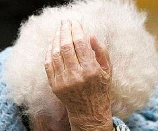 Aosta: Il Comune risponde alla lettera del Mouv sull'assistenza alla signora deceduta