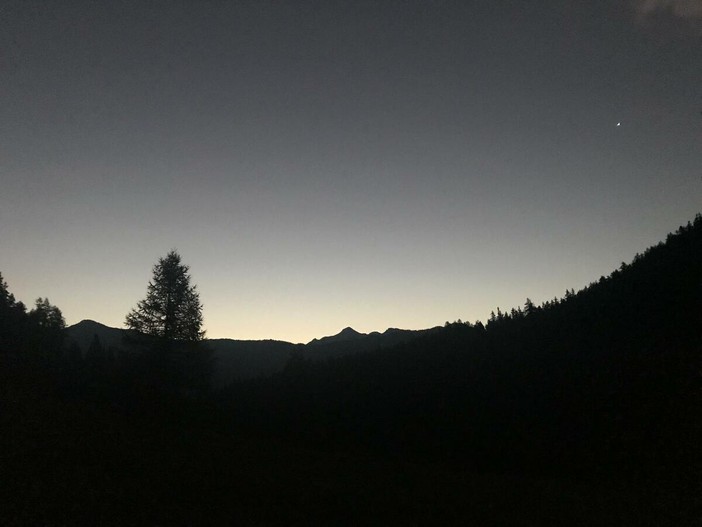 Salviamo il Buio: Perché la Notte Naturale fa Bene alla Natura e a Noi Salviamo il Buio: Perché la Notte Naturale fa Bene alla Natura e a Noi