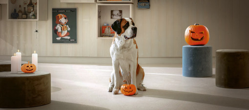 Halloween à Barryland