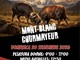 Courmayeur: 145 bovine in campo per la terza eliminatoria autunnale della "Batailles de Reines" Courmayeur: 145 bovine in campo per la terza eliminatoria autunnale della "Batailles de Reines"