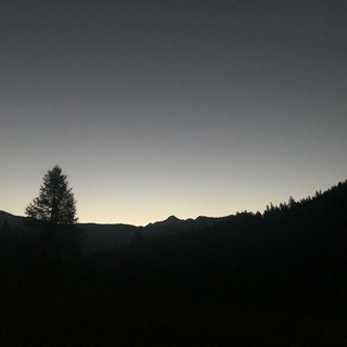 Salviamo il Buio: Perché la Notte Naturale fa Bene alla Natura e a Noi