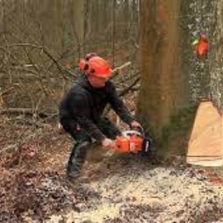 Al via il concorso per assumere due operatori boschivi: la selezione avverrà per titoli ed esami