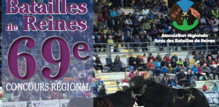 Cogne ospita la seconda eliminatoria d'autunno del 69° Concours Régional Batailles de Reines Cogne ospita la seconda eliminatoria d'autunno del 69° Concours Régional Batailles de Reines