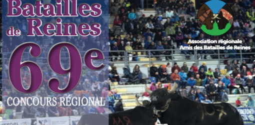 Cogne ospita la seconda eliminatoria d'autunno del 69° Concours Régional Batailles de Reines