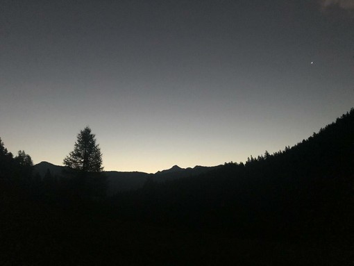 Salviamo il Buio: Perché la Notte Naturale fa Bene alla Natura e a Noi
