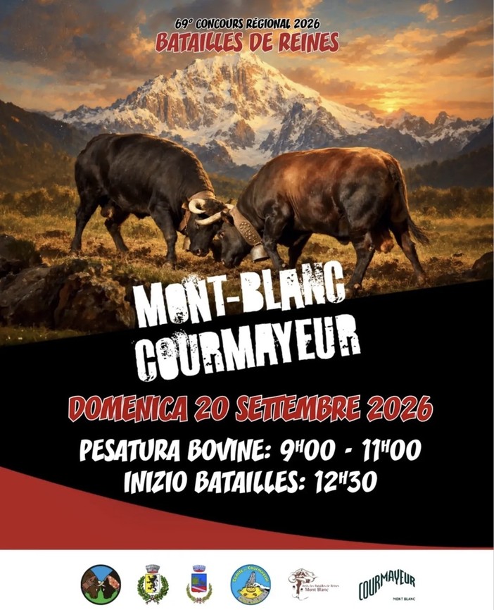 Courmayeur: 145 bovine in campo per la terza eliminatoria autunnale della "Batailles de Reines" Courmayeur: 145 bovine in campo per la terza eliminatoria autunnale della "Batailles de Reines"