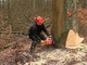 Selezione integrativa di operai idraulico-forestali
