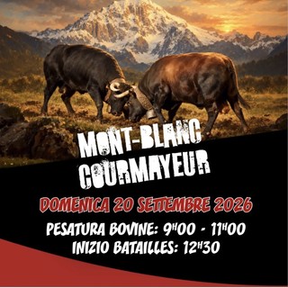 Courmayeur: 145 bovine in campo per la terza eliminatoria autunnale della "Batailles de Reines"