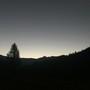 Salviamo il Buio: Perché la Notte Naturale fa Bene alla Natura e a Noi