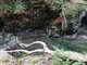 Torrente in Val Grande (ph. F. Ravezzani)