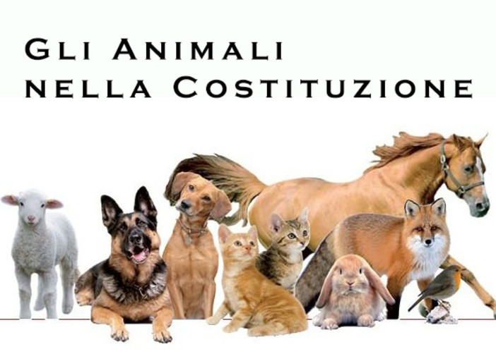 Abbandonare un animale non è solo un gesto crudele: è un costo che ricade su tutta la comunità Abbandonare un animale non è solo un gesto crudele: è un costo che ricade su tutta la comunità