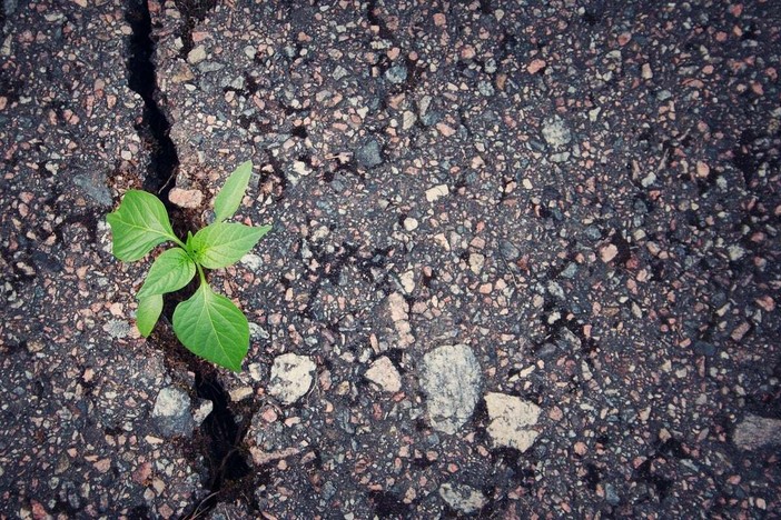 Suolo da salvare, responsabilità da condividere