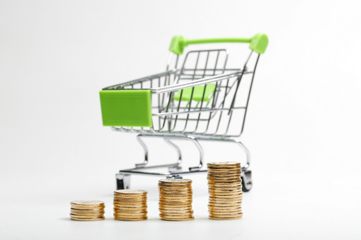 Istat: Cala il potere d'acquisto delle famiglie Istat: Cala il potere d'acquisto delle famiglie