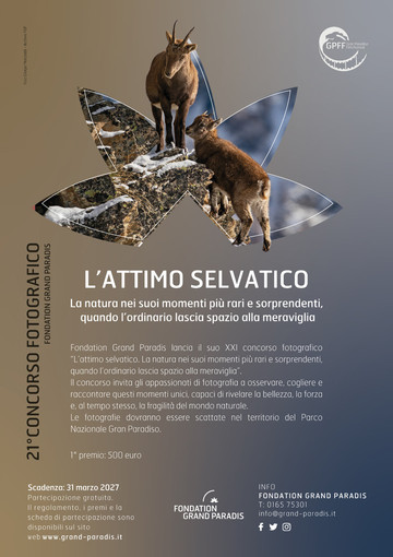 Fondation Grand Paradis, al via il 21° concorso fotografico “L’attimo selvatico” Fondation Grand Paradis, al via il 21° concorso fotografico “L’attimo selvatico”