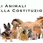 Abbandonare un animale non è solo un gesto crudele: è un costo che ricade su tutta la comunità