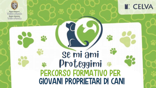 A scuola di cani: ad Aosta torna il percorso per i giovani proprietari, cinque appuntamenti per imparare a convivere con gli amici a quattro zampe A scuola di cani: ad Aosta torna il percorso per i giovani proprietari, cinque appuntamenti per imparare a convivere con gli amici a quattro zampe