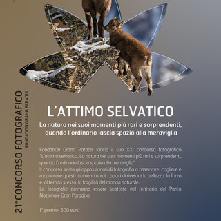 Fondation Grand Paradis, al via il 21° concorso fotografico “L’attimo selvatico”