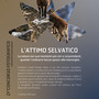 Fondation Grand Paradis, al via il 21° concorso fotografico “L’attimo selvatico” Fondation Grand Paradis, al via il 21° concorso fotografico “L’attimo selvatico”