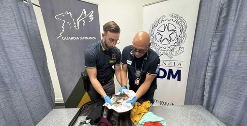 A Caselle sequestrata una testa di coccodrillo: passeggero denunciato A Caselle sequestrata una testa di coccodrillo: passeggero denunciato
